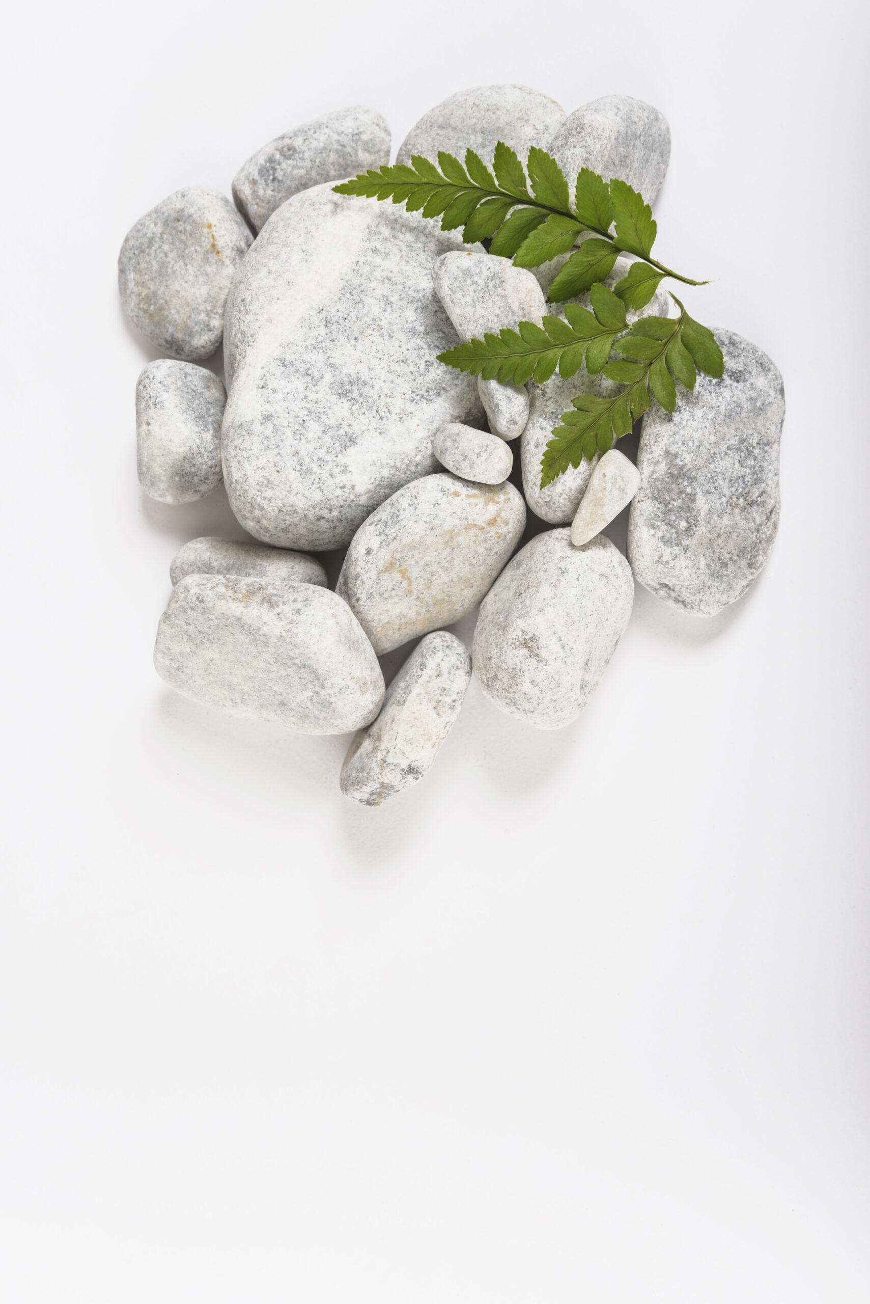 green-leaves-pebbles